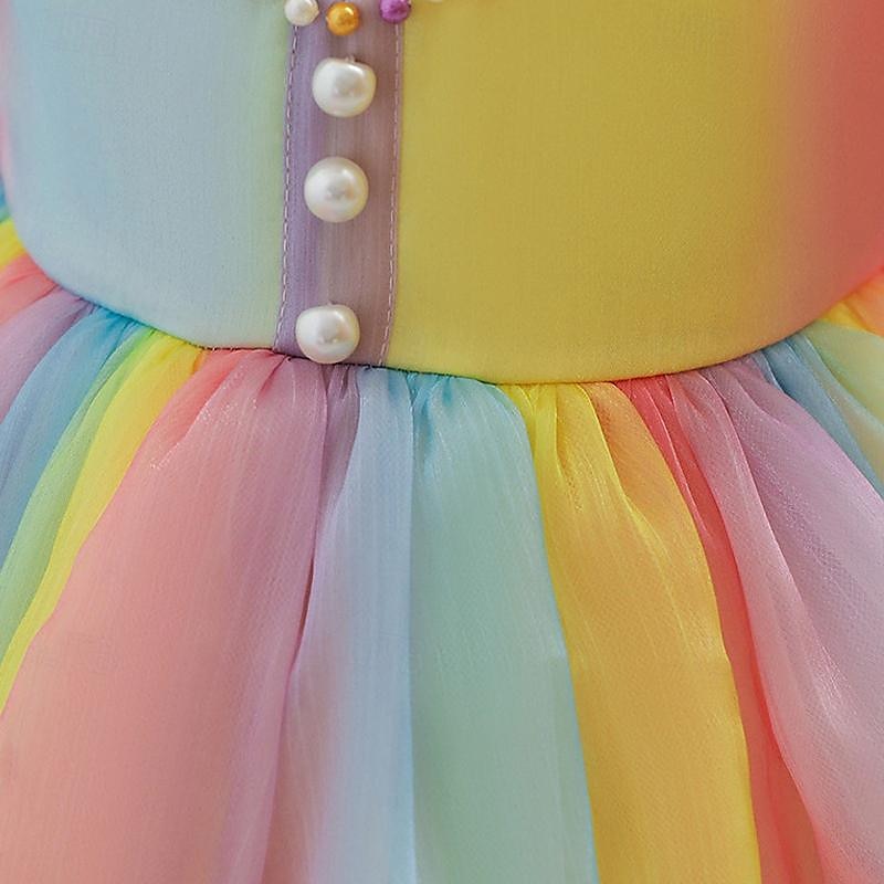 Tout-petit Fille Robe de Soirée Arc-en-ciel Manche Courte Mariage Soirée Mignon Princesse Polyester Été Printemps 3-7 Ans Multicouleur de 2025 ? $25.99 –P6