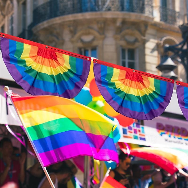 2db szivárvány büszkeség sármány zászló szivárvány meleg büszkeség redőzött rajongói zászló transzparens meleg büszkeségnek lgbtq felvonulások ünneplés szabadtéri büszkeség udvari díszek 2025 - $22.99 –P5