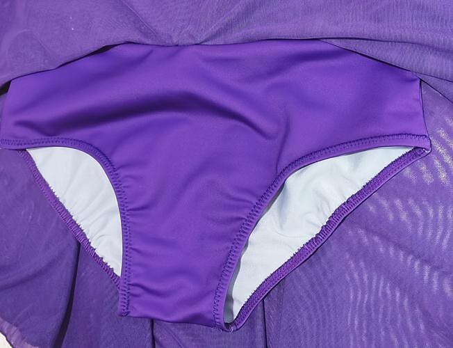 Kunstschaatsjurk Dames Voor meisjes Schaatsen Jurken Paars Fuchsia Donkerblauw Lapwerk Duimopening Netstof Spandex Rekbaar Opleiding Oefenen Professioneel Kunstschaatskleding Thermisch Warm Klassiek 2025 - $248.89 –P8