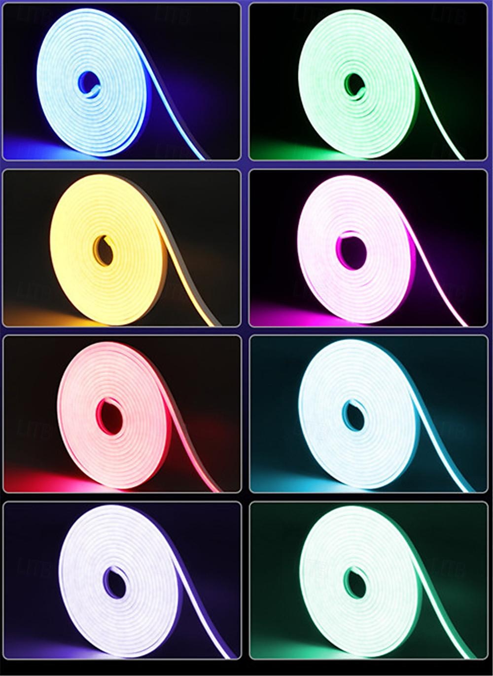 1μ 3M 5μ Φώτα σε Κορδόνι Φώτα νέον ταινίας 72/216/360 LEDs Ευέλικτο νέον 1set RGB Φώτα διακοπών Φώτα Λωρίδες LED Έλεγχος APP Με ροοστάτη Πάρτι 12 V 2025 - $22.99 –P4