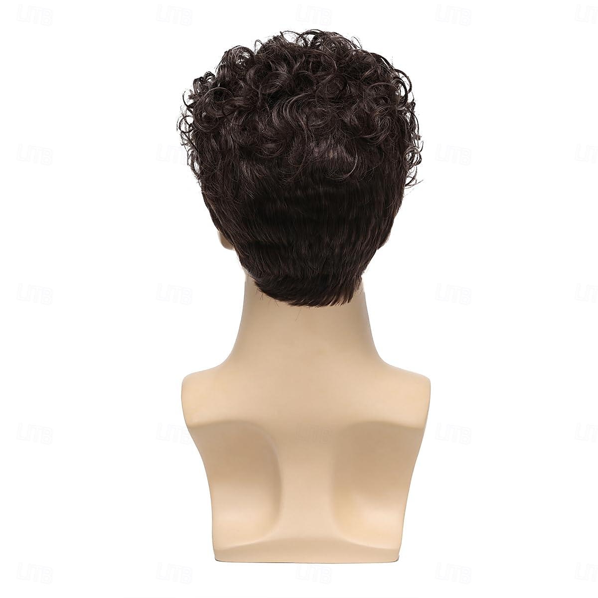 Mens Curly Wigs Dack Brown Short Wig,Synthetic Heat Resistant Costume Wig Mens Daily Cosplay Party Halloween 2025 - $19.49 –P5