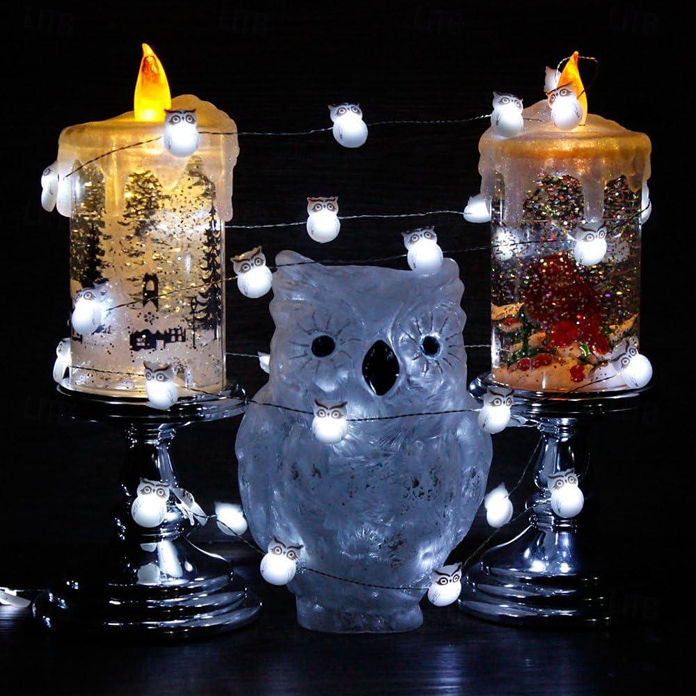 Owl Snow Bird String Lights Decorations, 3M-30LED Summer String Lights Battery Operated with Remote for Indoor, Christmas Tree Party Haunted Spooky Lights Halloween 2025 - $9.49 –P2