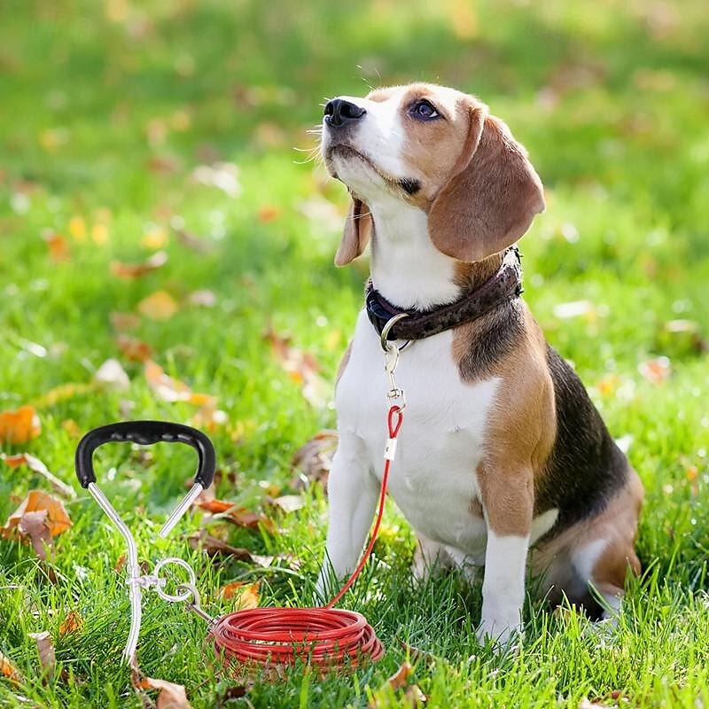2025年 犬用 リード トレーニングリーシュ ハーネスリーシュセット 調整可能 防水 携帯用 パータブル 普通 生活 アウトドア ハンティング ランニング ソリッド ハスキー犬 ラブラドール エスキモー犬 1個 コレクション – $22.99 –P19