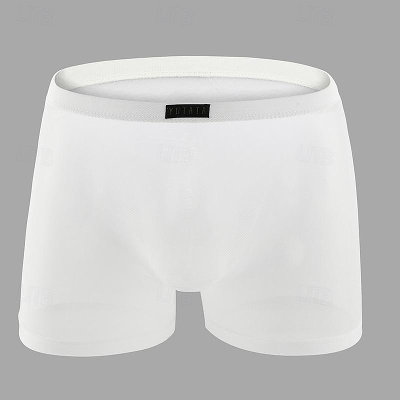 Men's 1 PCS Boxers Underwear Boxer Shorts Mesh Nylon Breathable Soft Comfortable Plain Mid Rise Black White 2025 - $8.99 –P12