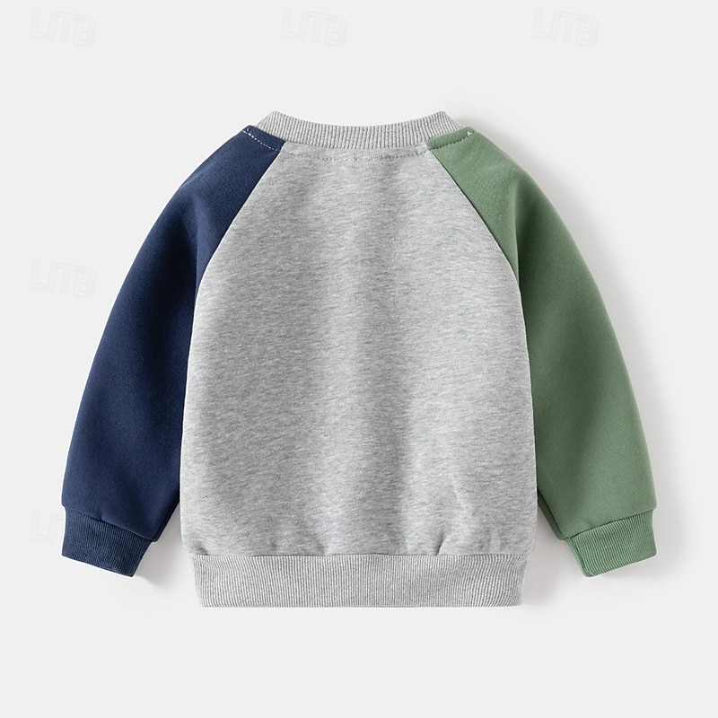 Pojkar 3D Tecknat Dinosaurie Sportdräkt Träningsoveraller Sweatshirt set Långärmad Vår Höst Dagligen Ledigt Komfort Barn 4-7 år Rund hals Utomhus Semester Sport Skräddarsydd passform 2025 - $23.99 –P6