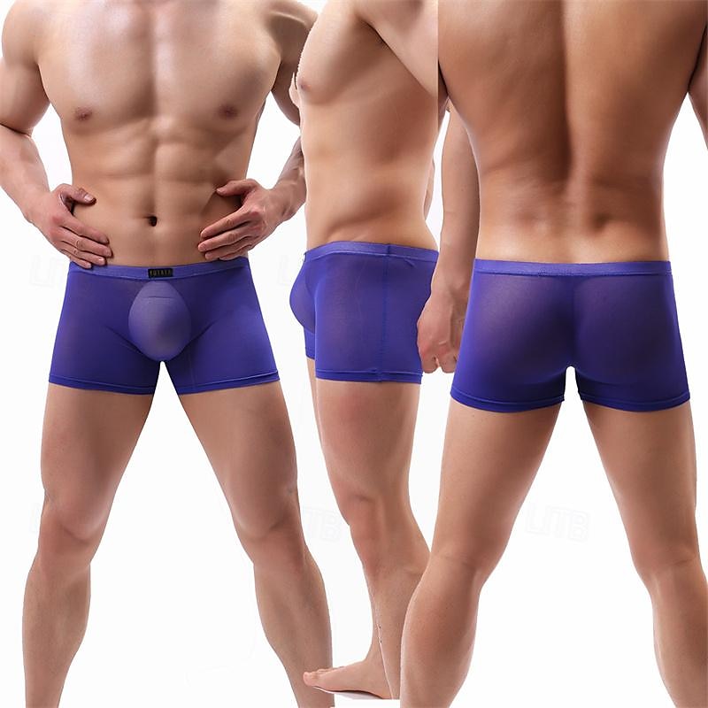 Men's 1 PCS Boxers Underwear Boxer Shorts Mesh Nylon Breathable Soft Comfortable Plain Mid Rise Black White 2025 - $8.99 –P4