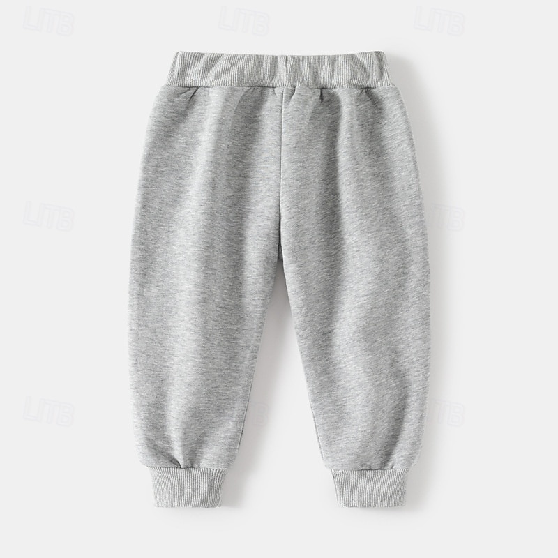 Pojkar 3D Tecknat Dinosaurie Sportdräkt Träningsoveraller Sweatshirt set Långärmad Vår Höst Dagligen Ledigt Komfort Barn 4-7 år Rund hals Utomhus Semester Sport Skräddarsydd passform 2025 - $23.99 –P7