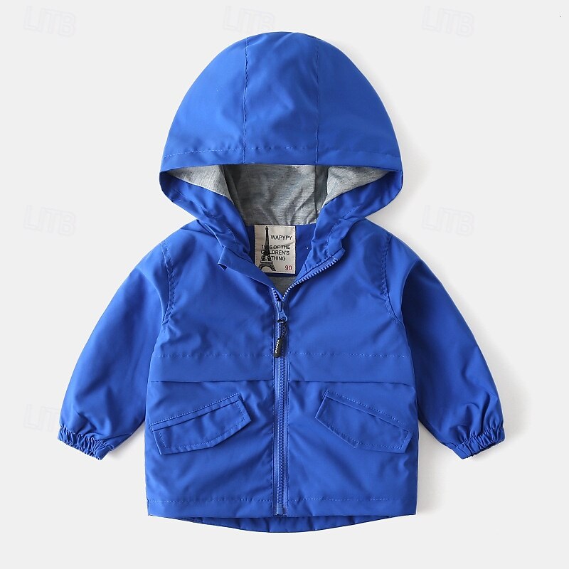 Garçons 3D Couleur Unie Camouflage Manteau Vêtements d'extérieur manche longue Automne Hiver Mode Basique Petits enfants (4-7 ans) 4-7 ans À capuche Extérieur Occasionnel Quotidien Coupe régulière de 2025 ? $25.99 –P6