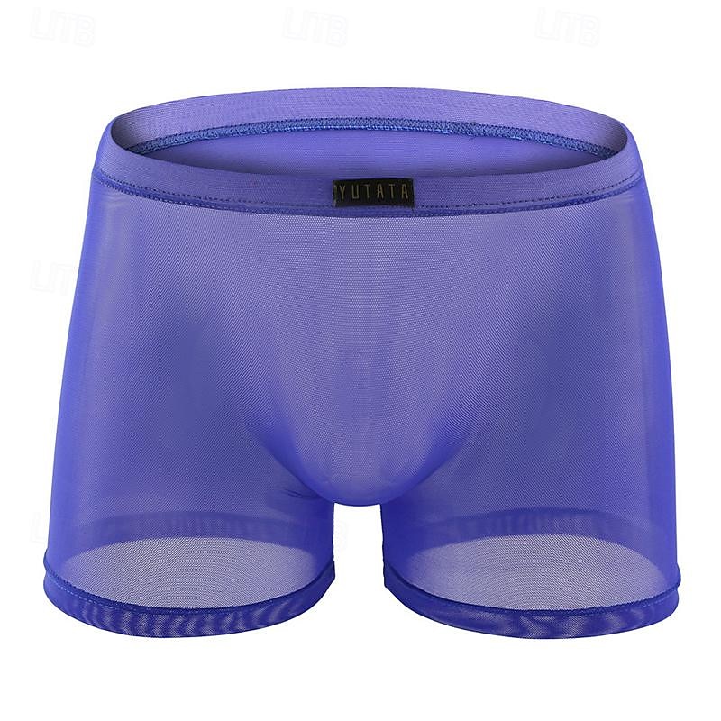 Men's 1 PCS Boxers Underwear Boxer Shorts Mesh Nylon Breathable Soft Comfortable Plain Mid Rise Black White 2025 - $8.99 –P14
