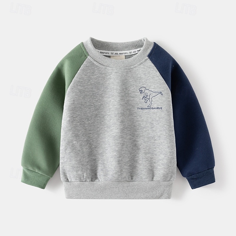 Pojkar 3D Tecknat Dinosaurie Sportdräkt Träningsoveraller Sweatshirt set Långärmad Vår Höst Dagligen Ledigt Komfort Barn 4-7 år Rund hals Utomhus Semester Sport Skräddarsydd passform 2025 - $23.99 –P4