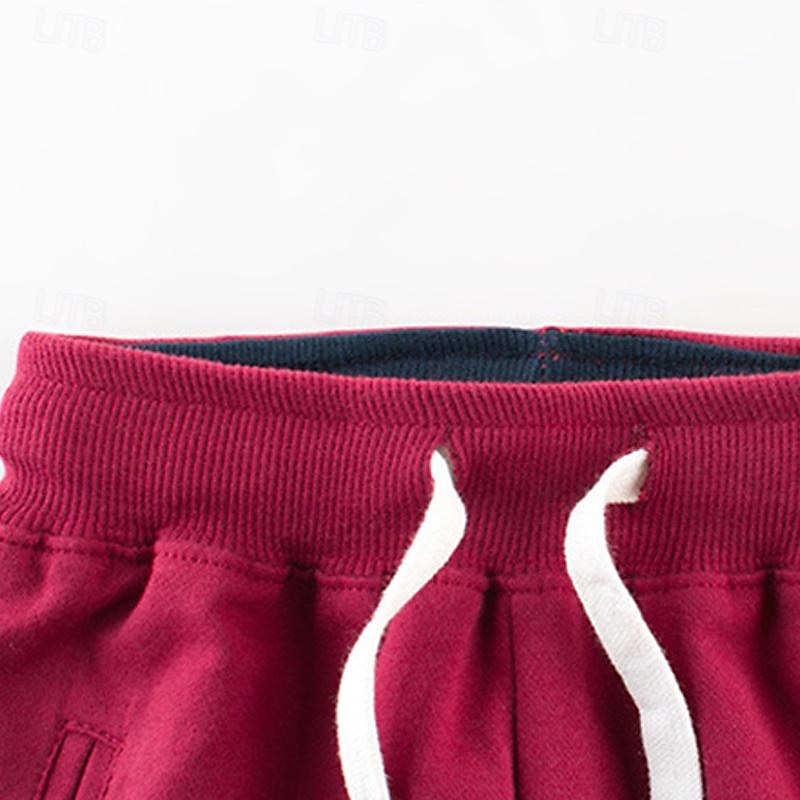 Boys 3D Dinosaur Pants Sweatpants Spring Fall Active Basic Kids 4 years+ Outdoor Sport Casual Regular Fit 2025 - $17.49 –P9