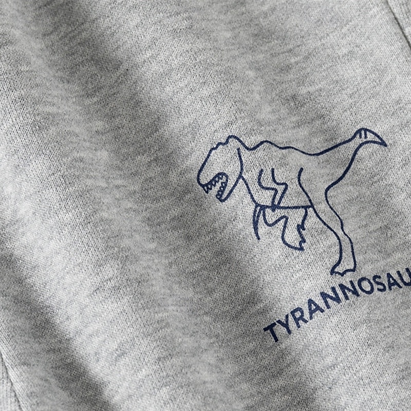 Pojkar 3D Tecknat Dinosaurie Sportdräkt Träningsoveraller Sweatshirt set Långärmad Vår Höst Dagligen Ledigt Komfort Barn 4-7 år Rund hals Utomhus Semester Sport Skräddarsydd passform 2025 - $23.99 –P15