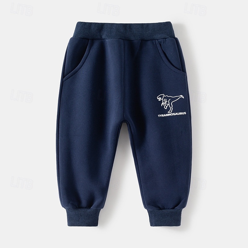 Pojkar 3D Tecknat Dinosaurie Sportdräkt Träningsoveraller Sweatshirt set Långärmad Vår Höst Dagligen Ledigt Komfort Barn 4-7 år Rund hals Utomhus Semester Sport Skräddarsydd passform 2025 - $23.99 –P9