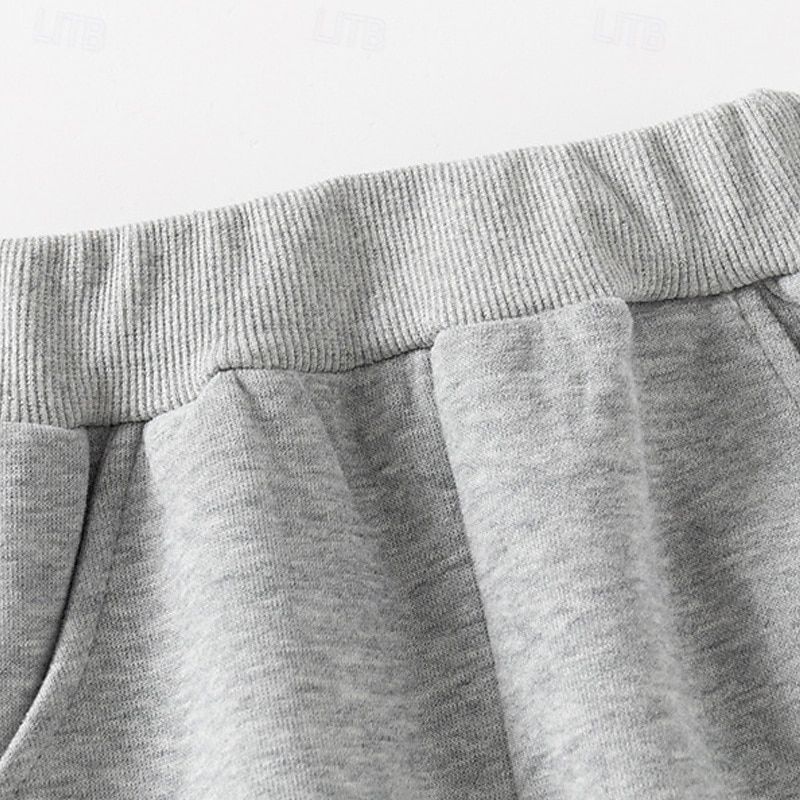 Pojkar 3D Tecknat Dinosaurie Sportdräkt Träningsoveraller Sweatshirt set Långärmad Vår Höst Dagligen Ledigt Komfort Barn 4-7 år Rund hals Utomhus Semester Sport Skräddarsydd passform 2025 - $23.99 –P14