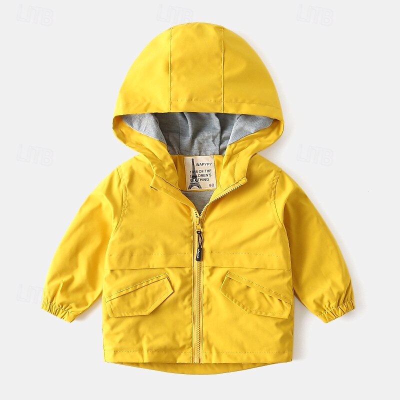 Garçons 3D Couleur Unie Camouflage Manteau Vêtements d'extérieur manche longue Automne Hiver Mode Basique Petits enfants (4-7 ans) 4-7 ans À capuche Extérieur Occasionnel Quotidien Coupe régulière de 2025 ? $25.99 –P2