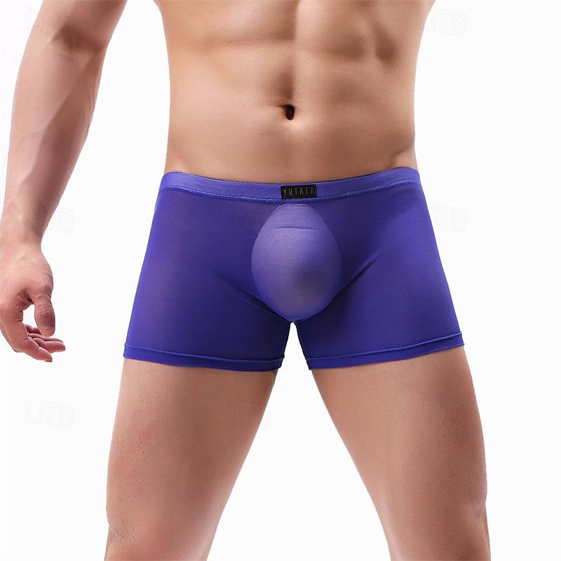 Men's 1 PCS Boxers Underwear Boxer Shorts Mesh Nylon Breathable Soft Comfortable Plain Mid Rise Black White 2025 - $8.99 –P3