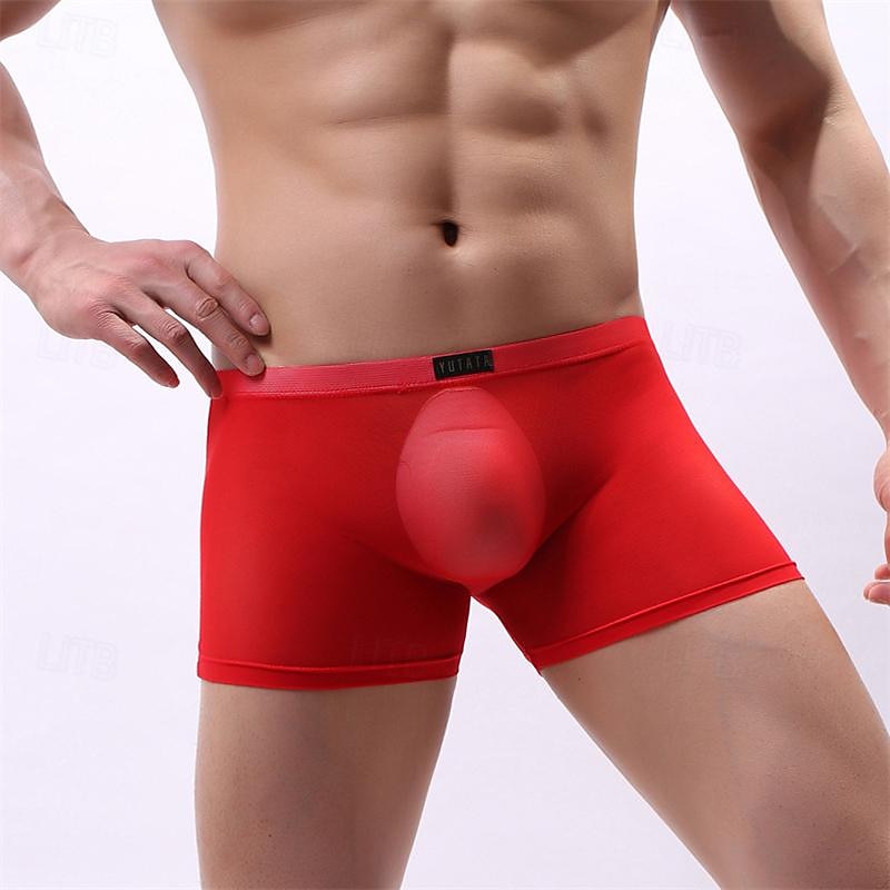 Men's 1 PCS Boxers Underwear Boxer Shorts Mesh Nylon Breathable Soft Comfortable Plain Mid Rise Black White 2025 - $8.99 –P10