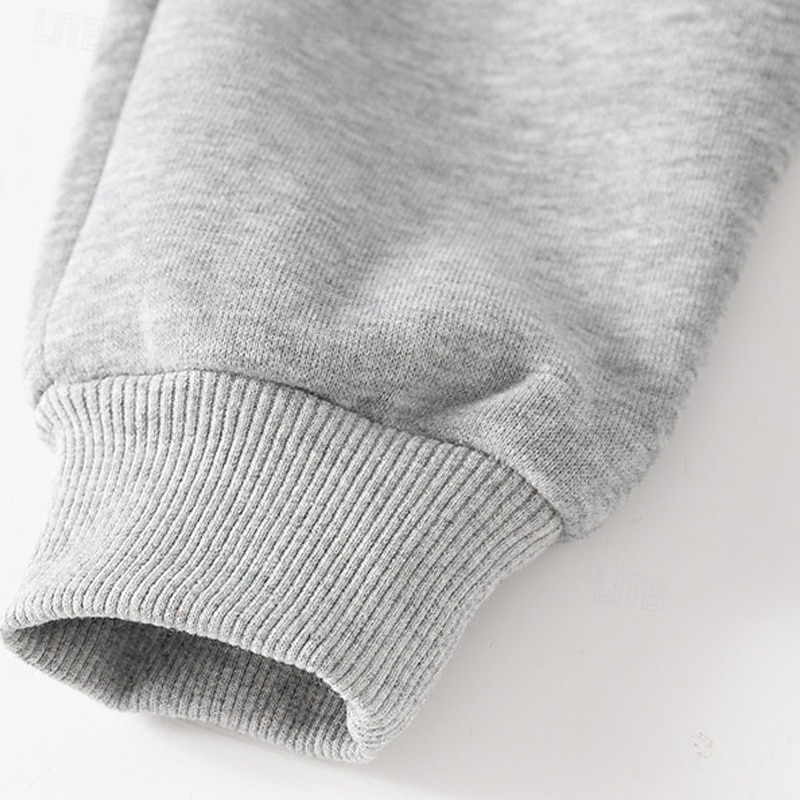 Pojkar 3D Tecknat Dinosaurie Sportdräkt Träningsoveraller Sweatshirt set Långärmad Vår Höst Dagligen Ledigt Komfort Barn 4-7 år Rund hals Utomhus Semester Sport Skräddarsydd passform 2025 - $23.99 –P16