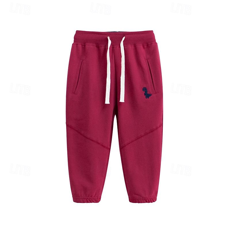 Boys 3D Dinosaur Pants Sweatpants Spring Fall Active Basic Kids 4 years+ Outdoor Sport Casual Regular Fit 2025 - $17.49 –P5