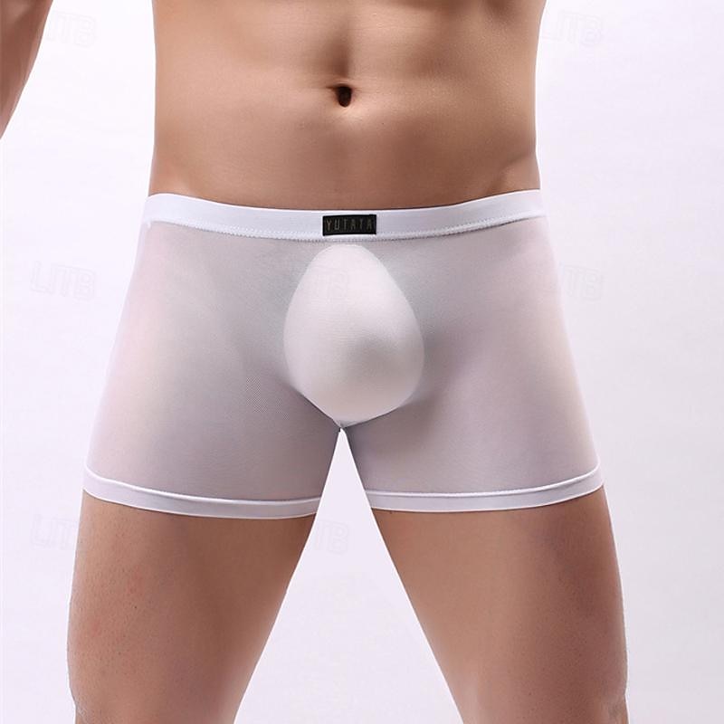 Men's 1 PCS Boxers Underwear Boxer Shorts Mesh Nylon Breathable Soft Comfortable Plain Mid Rise Black White 2025 - $8.99 –P5