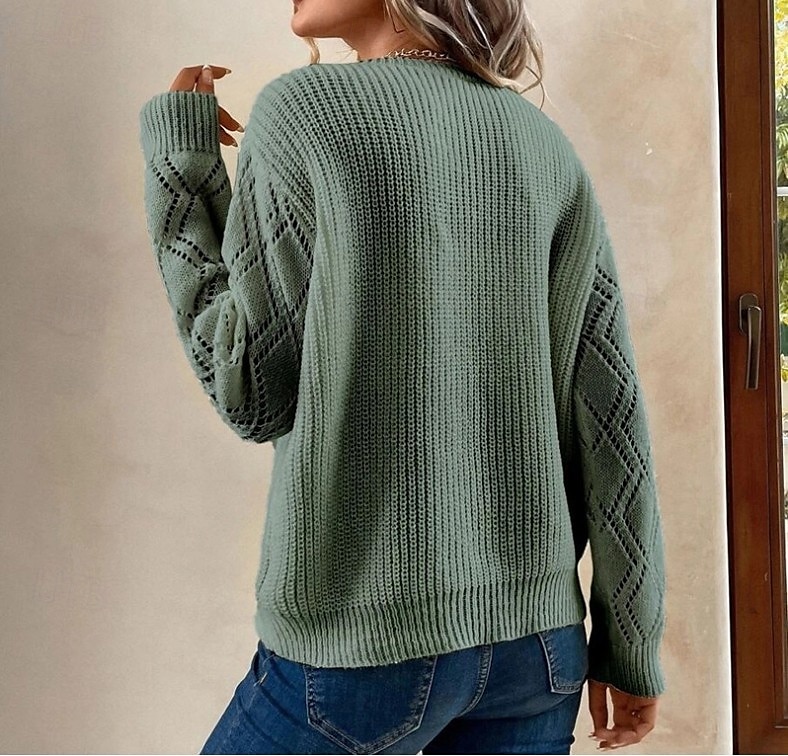 Pentru femei Pulover pulover Elegant Culoare solidă Striat În V Dantelă Manșon Lung Topuri obișnuite Tricotat Zilnic Negru Alb Primăvară Toamnă 2025 - $41.99 –P4