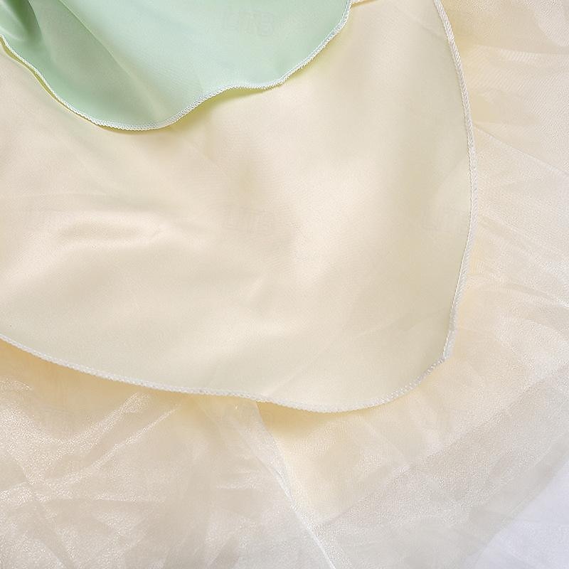Tinker Bell Fairy Tale Princess Tiana Flower Girl Dress Theme Party Costume Tulle Dresses Cosplay Movie Cosplay for Girls' Kids Carnival Party / Evening 2025 - $37.99 –P6