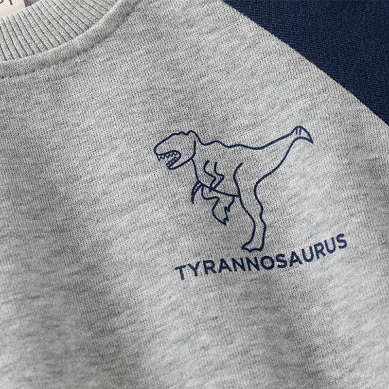 Pojkar 3D Tecknat Dinosaurie Sportdräkt Träningsoveraller Sweatshirt set Långärmad Vår Höst Dagligen Ledigt Komfort Barn 4-7 år Rund hals Utomhus Semester Sport Skräddarsydd passform 2025 - $23.99 –P11