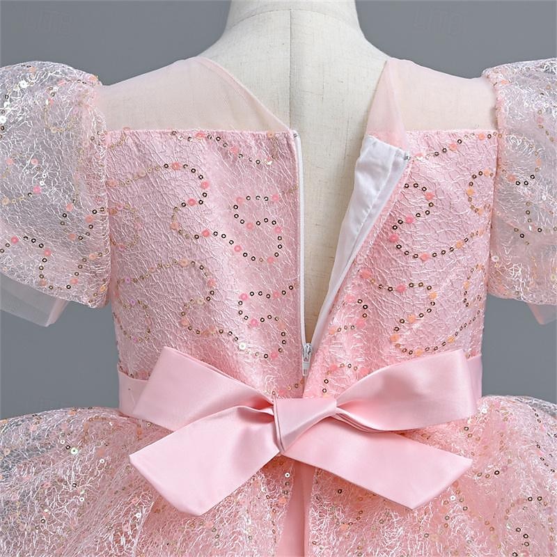Flower Girl Dress Girls' Party Dress Performance Wedding Party Princess Beautiful Sweet Sequins Mesh Solid Color Short Sleeve Crew Neck White Pink 4-12 Years 2025 - $43.99 –P13