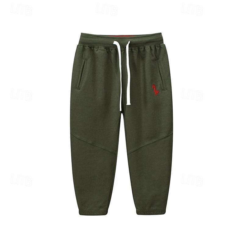 Boys 3D Dinosaur Pants Sweatpants Spring Fall Active Basic Kids 4 years+ Outdoor Sport Casual Regular Fit 2025 - $17.49 –P7