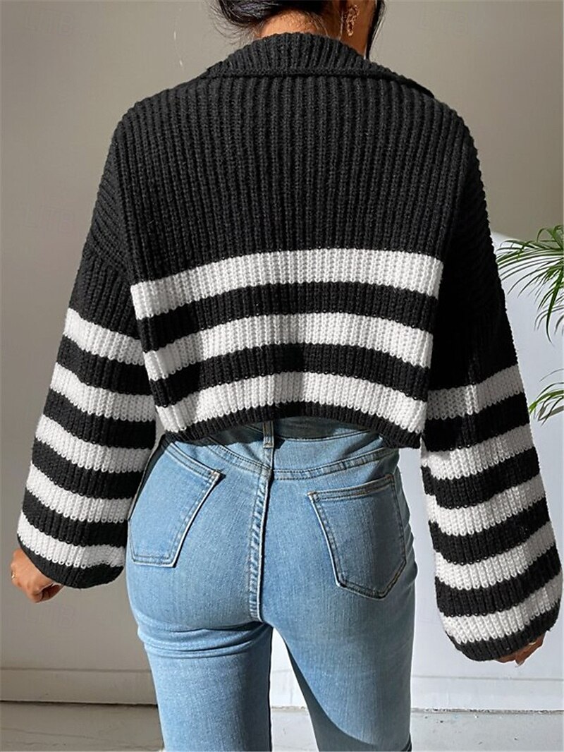 Pentru femei Pulover pulover Birou Casual Dungi Guler Pe Gât Fermoar Manșon Lung Topuri obișnuite Tricotat Zilnic Negru Alb Toamnă Iarnă 2025 - $44.99 –P5