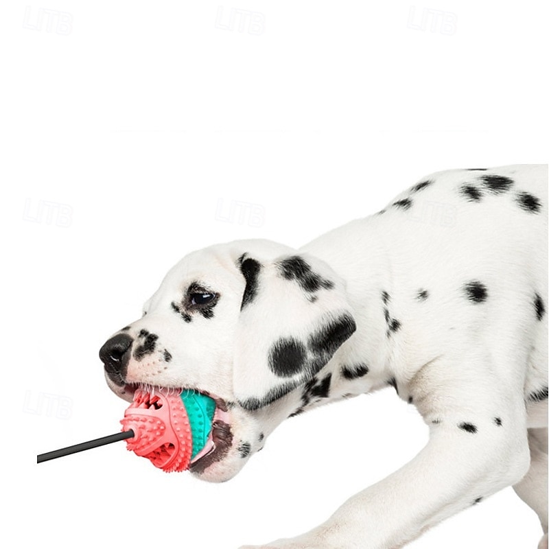 Bal kauwspeeltjes Interactief speelgoed Piepend speelgoed touwen met Uittrekbaar Duurzaam Oefening voor huisdieren Drukvrij maken Tandjes touw speelgoed voor Honden Voor Binnen Voor buiten 2025 - $22.99 –P5