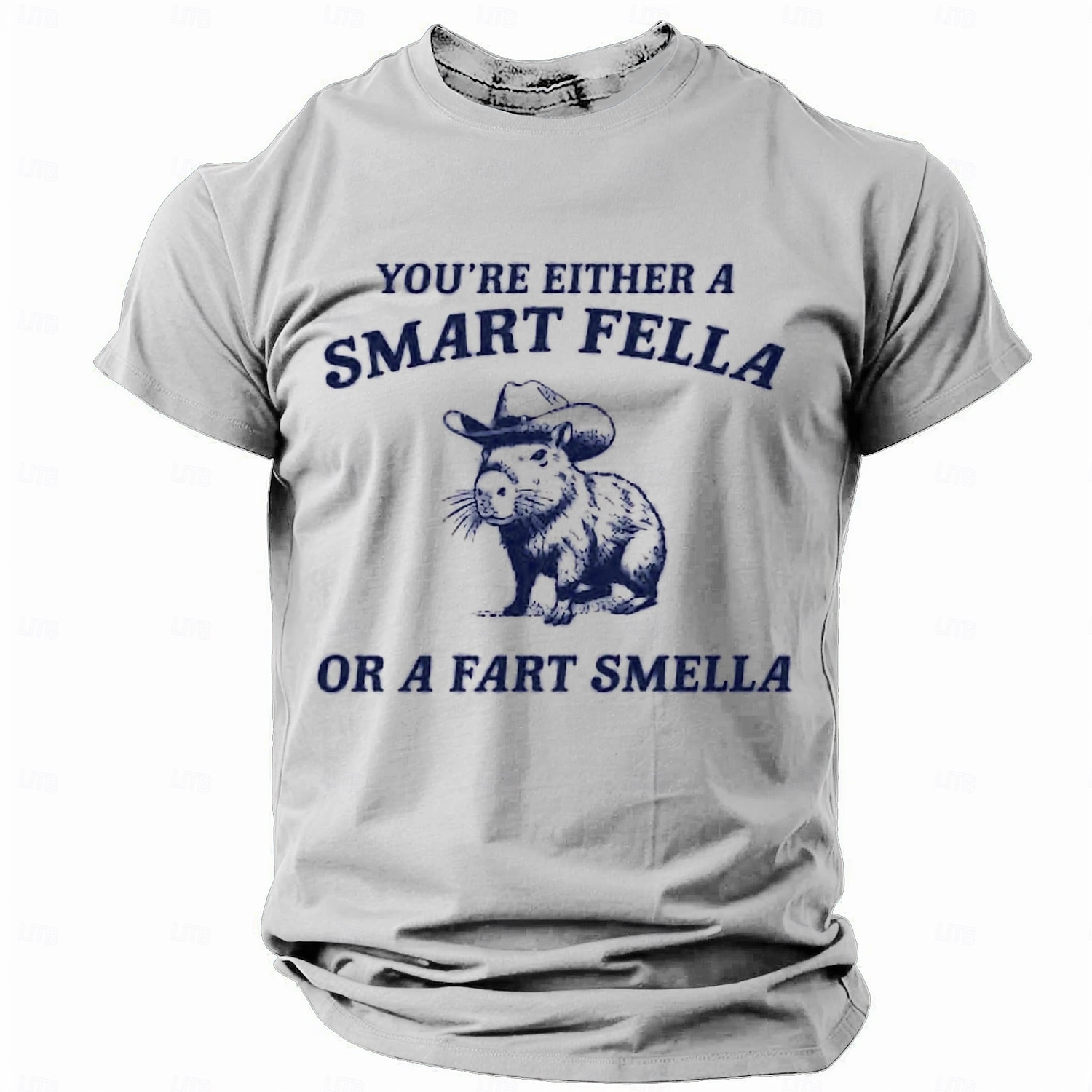 T-Shirt Grafica Divertente per Uomini con Capibara - Gioco di Parole Fella Fart Smella del 2026 a $19.49 –P1
