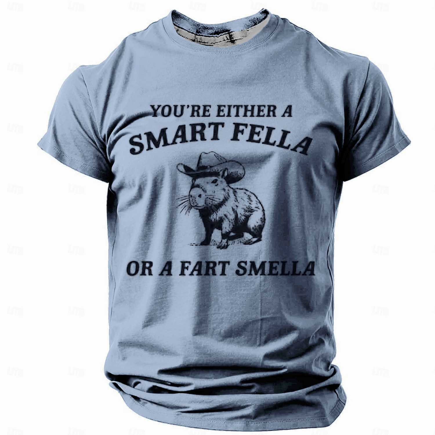 T-Shirt Grafica Divertente per Uomini con Capibara - Gioco di Parole Fella Fart Smella del 2026 a $19.49 –P5