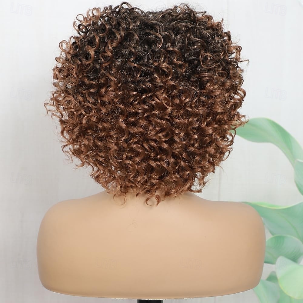 Short Kinky Curly Wigs With Bangs for Black Women Wigs Synthetic Curly Wig High Temperature Fiber Short Curly Afro Wig 2025 - $20.99 –P5