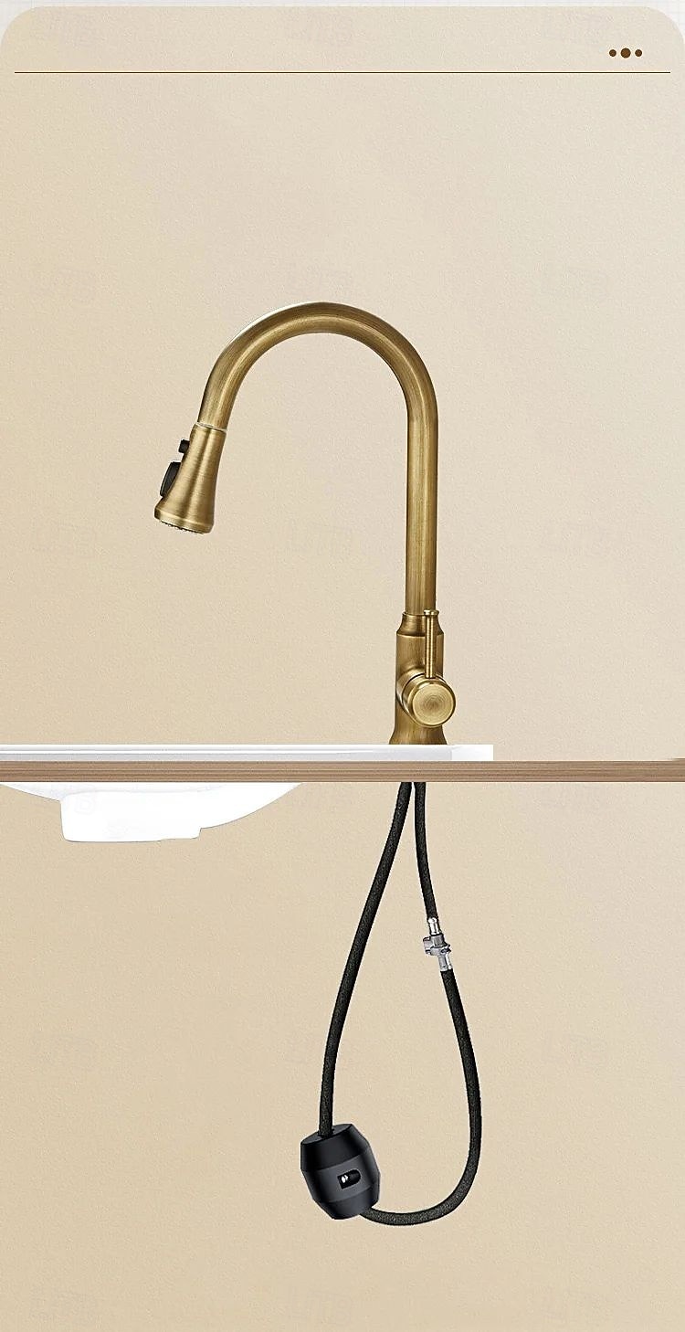 2026年 水栓 - シングルハンドルつの穴 電気メッキ プルアウト / プルダウン センターセット レトリ／ヴィンテージ Kitchen Taps  コレクション – $129.99 –P11