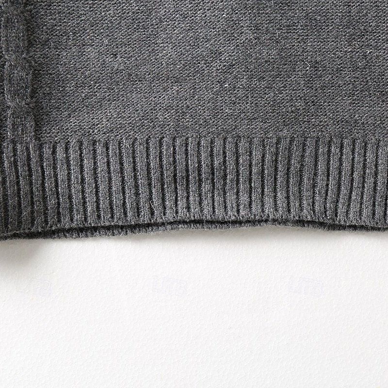 Per uomo Pullover Maglione Maglione lavorato a maglia A coste Maglia Standard Lavorato a maglia Liscio Girocollo Di tendenza Essenziale Da tutti i giorni Appuntamento Abbigliamento Autunno inverno del 2025 a $35.99 –P16