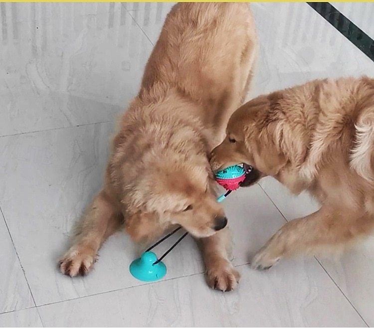 Bal kauwspeeltjes Interactief speelgoed Piepend speelgoed touwen met Uittrekbaar Duurzaam Oefening voor huisdieren Drukvrij maken Tandjes touw speelgoed voor Honden Voor Binnen Voor buiten 2025 - $22.99 –P14