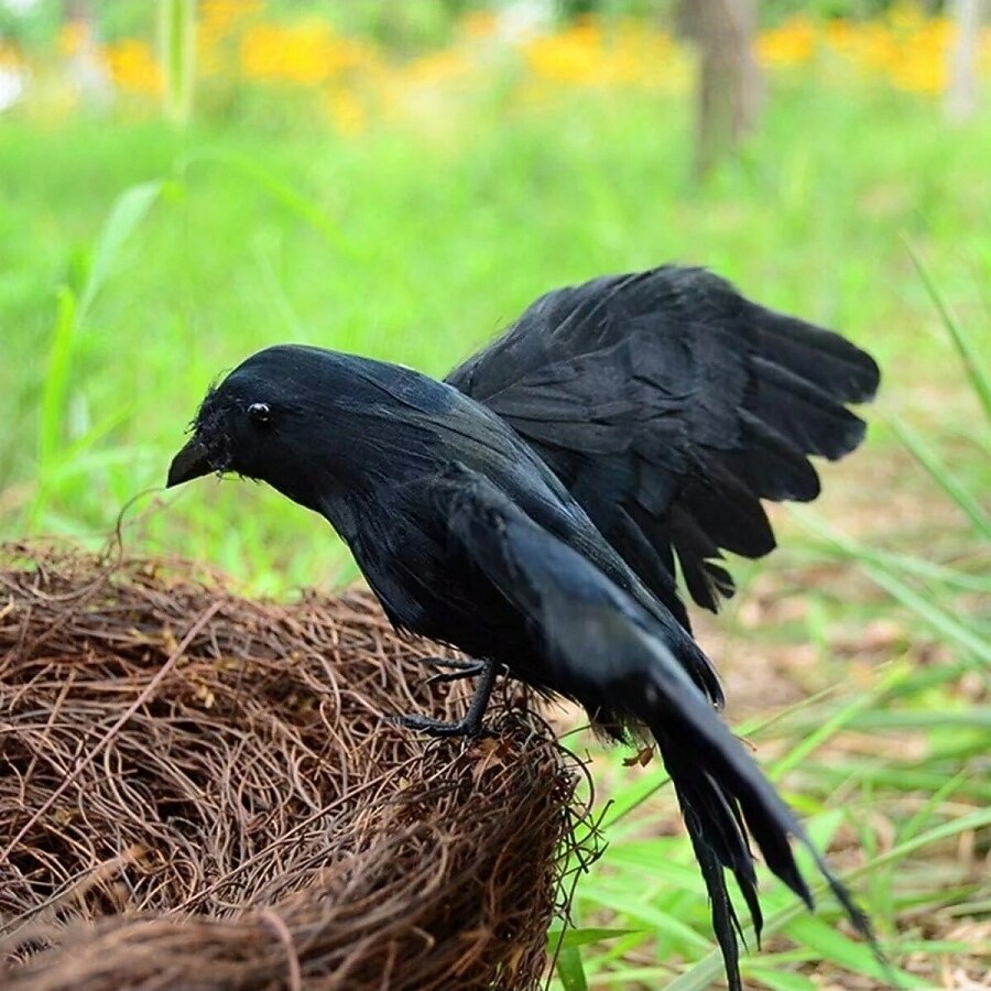 3pcs Realistic Black Crow Feather Halloween Decoration Props Set - Spooky Indoor and Outdoor Decor 2026 - $19.49 –P4