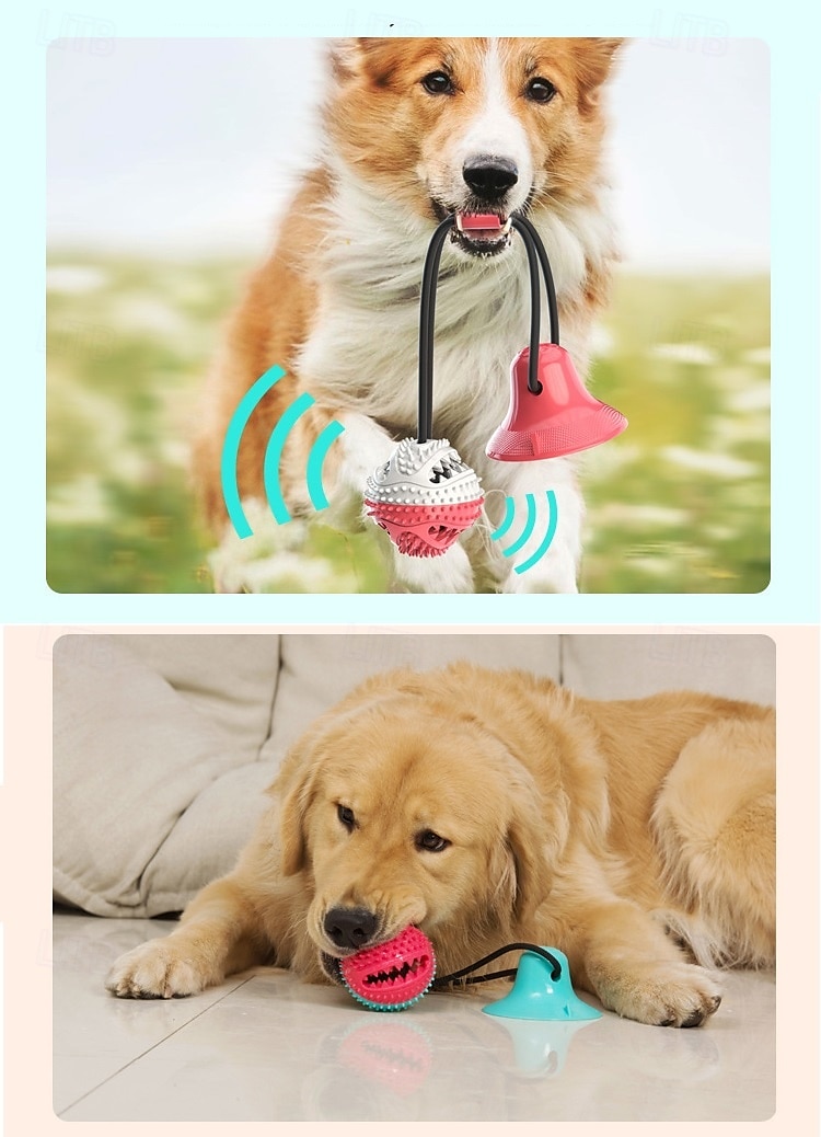 Bal kauwspeeltjes Interactief speelgoed Piepend speelgoed touwen met Uittrekbaar Duurzaam Oefening voor huisdieren Drukvrij maken Tandjes touw speelgoed voor Honden Voor Binnen Voor buiten 2025 - $22.99 –P13