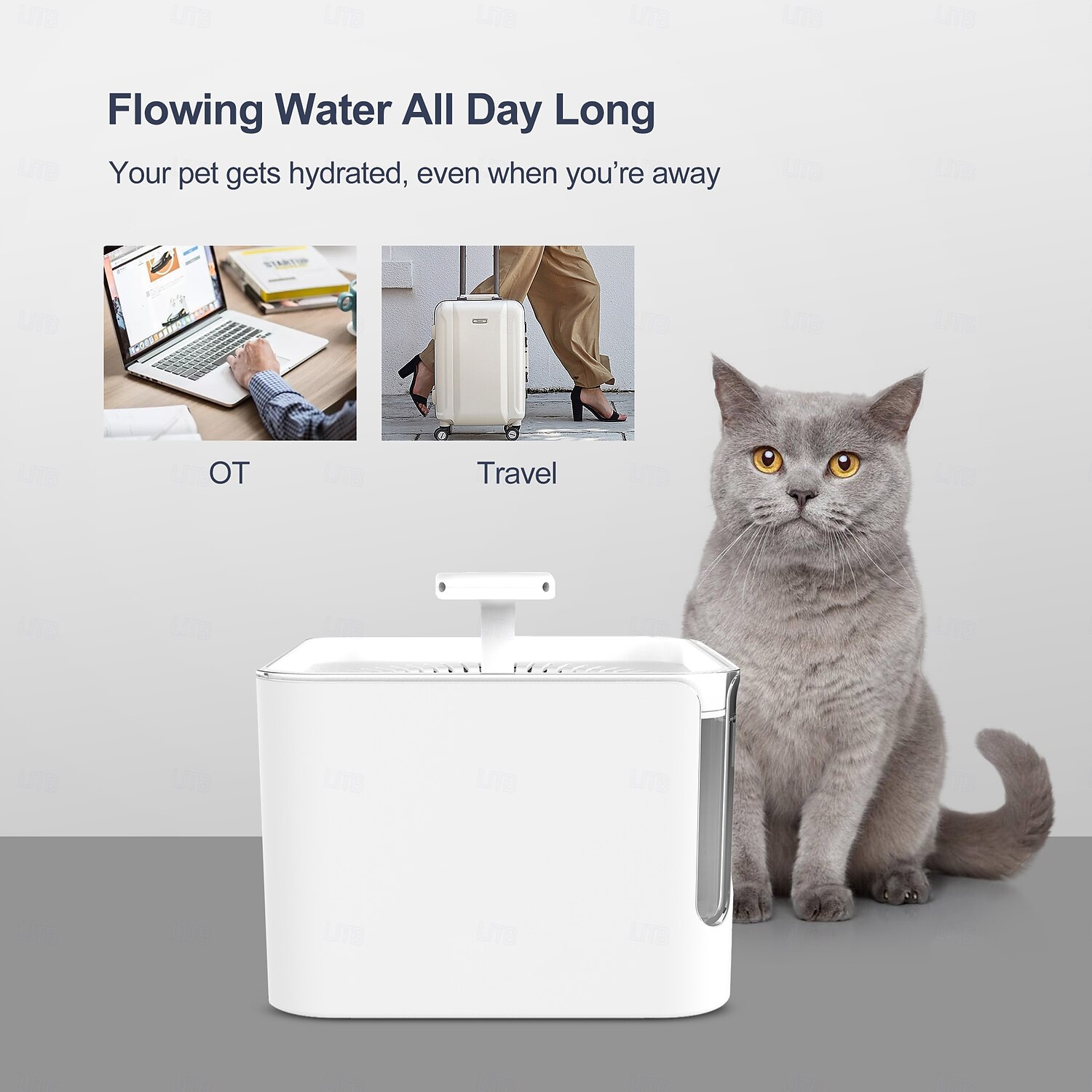 2025年 犬用 猫用 小型ペット用 自動飲用ボウル / 犬猫ボウル 3 L ABS + PC 自動 簡単装着 噴水 ソリッド ブラック ホワイト ボウル&摂食 家 コレクション – $68.99 –P4