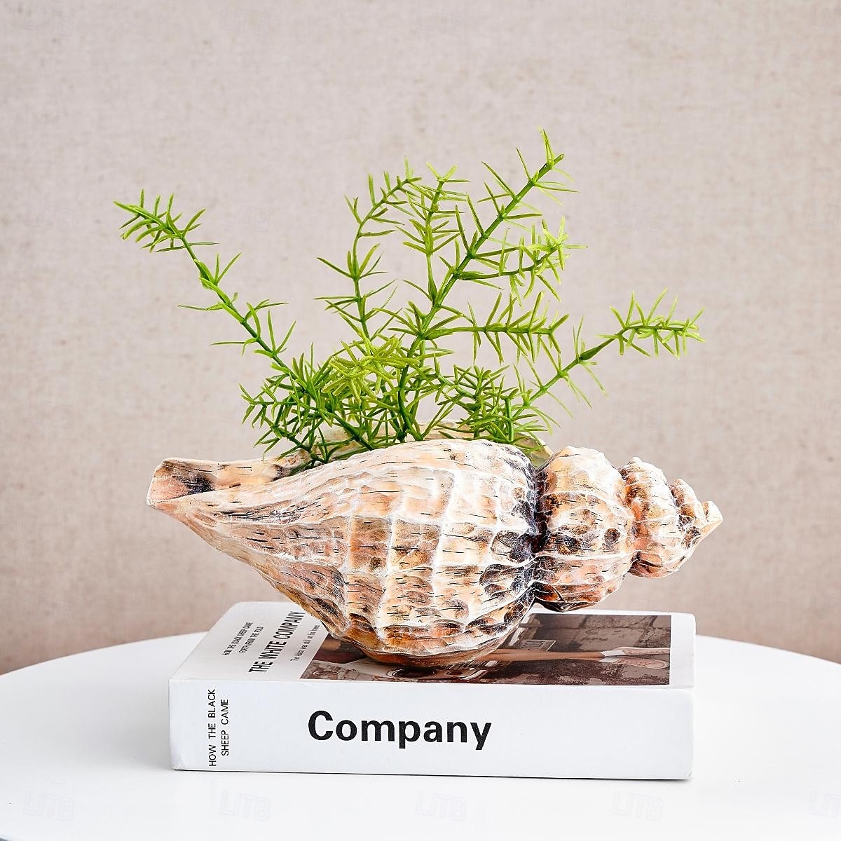 Seashell Shaped Resin Vase, 9.8-Inch Bohemian Tabletop Flower Vase, Indoor Decorative Hydroponic Planter for Home Decor and Gifts 2025 - $14.49 –P7