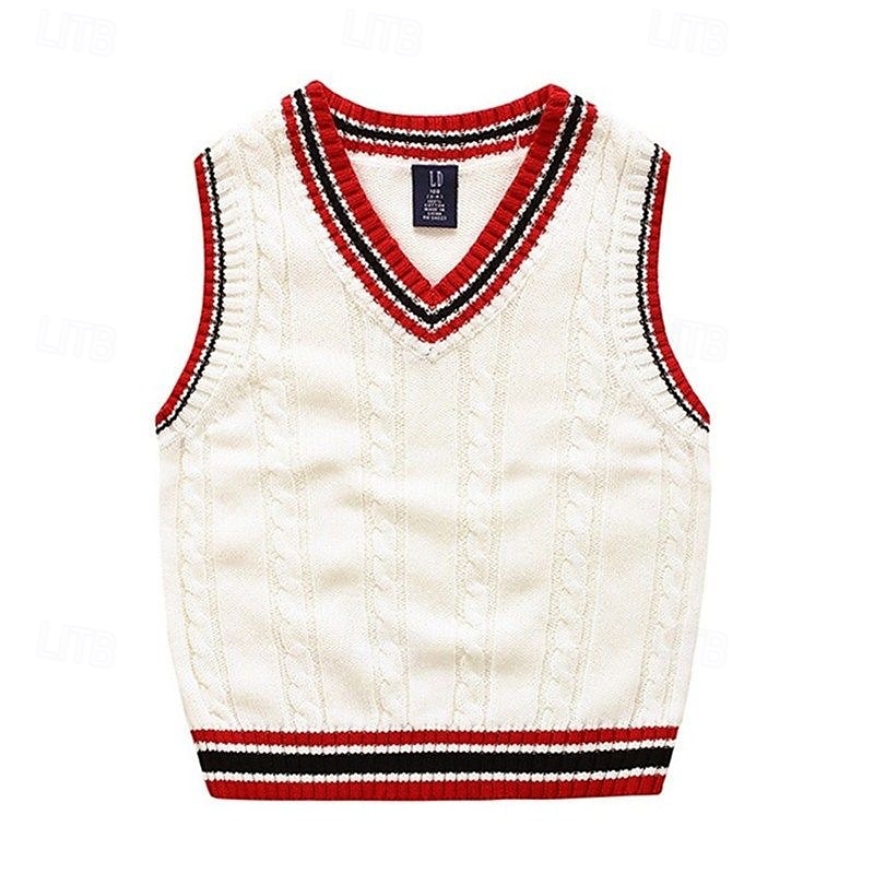 Kids Boys Sweater Color Block Sleeveless Patchwork School Daily White Fall Clothes 4 years+ 2025 - $16.49 –P5