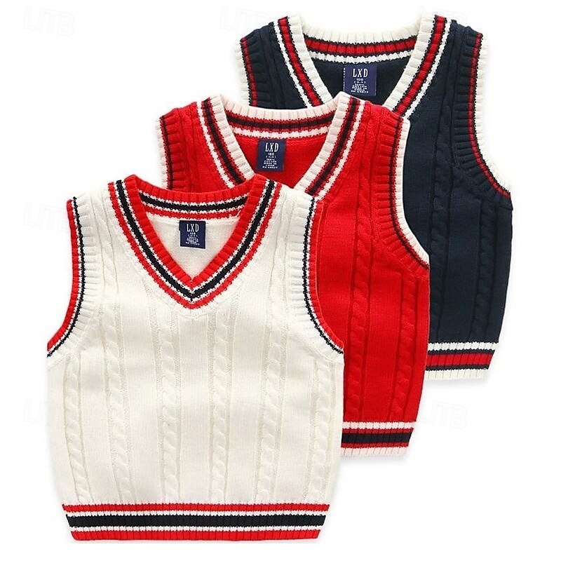 Kids Boys Sweater Color Block Sleeveless Patchwork School Daily White Fall Clothes 4 years+ 2025 - $16.49 –P1