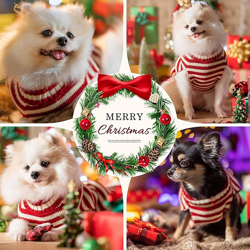 Câini Pisici Pulovere Jumper Modă Iarnă Cald Modă Comfortabil Crăciun Crăciun În aer liber Anul Nou Zilnice homewear Îmbrăcăminte pentru câini for Small Mediu 2025 - $15.49 –P5