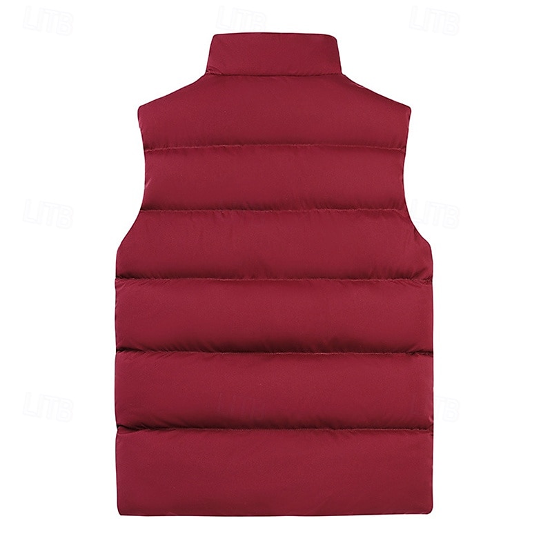 Per uomo Gilet imbottito Quotidiano Casual Autunno & Inverno Tasca con cerniera Poliestere Confortevole Semplice Cerniera Collo alla coreana Vestibilità regolare Nero Borgogna Cachi Blu scuro Gilet del 2025 a $20.99 –P2