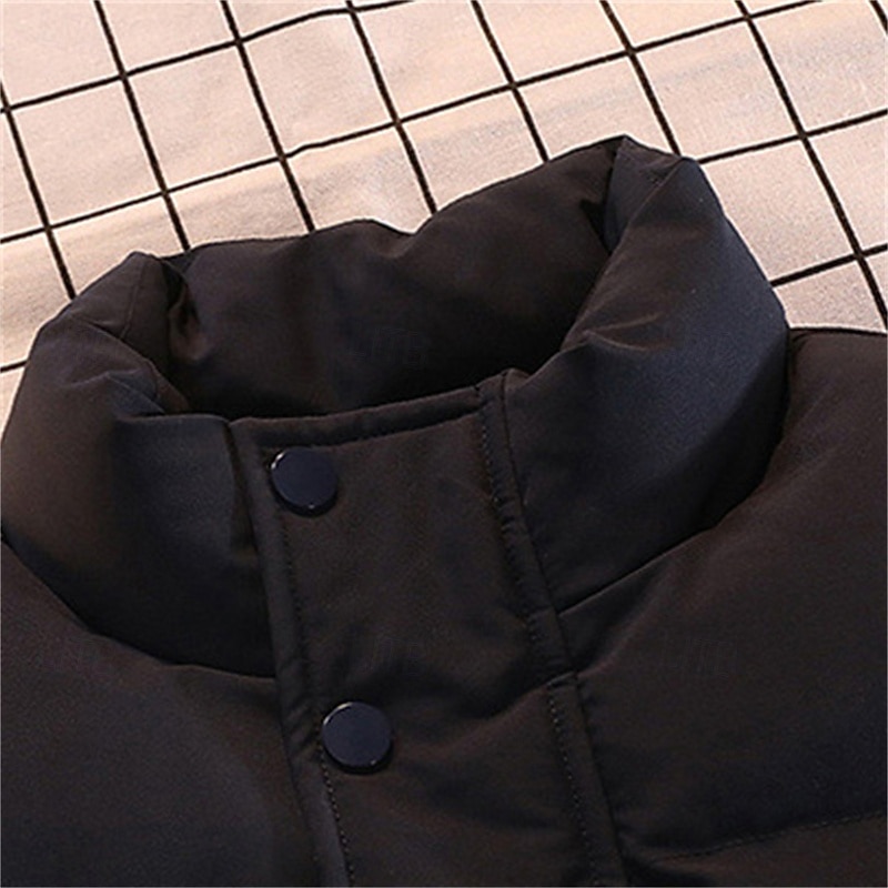 Herr Pufferväst Dagligen Ledigt Vår & Höst Ficka Polyester Bekväm Ensfärgat Dragkedja Hög krage Svart Vit Blå Väst 2025 - $24.99 –P9