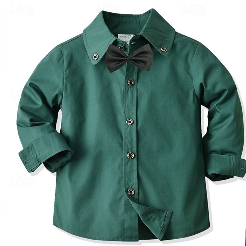 Barn Pojkar Skjortor Ensfärgat Långärmad Lappverk Utomhus Mode Ljusgrön Vår & Höst Kläder 3-7 år 2025 - $19.99 –P7