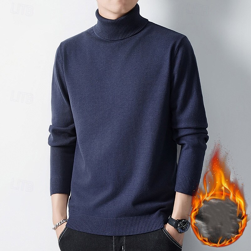Herren Pullover Strickpullover Rollkragenpullover für Herren Gerippt Stricken Standard Strick Glatt Rollkragen Modisch Brautkleider schlicht Freizeitskleidung Verabredung Bekleidung Herbst Winter 2025 - $15.49 –P6