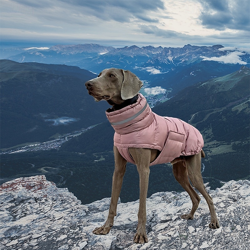 Hunder Frakker Jakke Pufferjakke Reflekterende Justerbare Vanntett Vindtett Varm utendørs Hundeklær for Greyhound Medium Large 2025 - $40.99 –P8