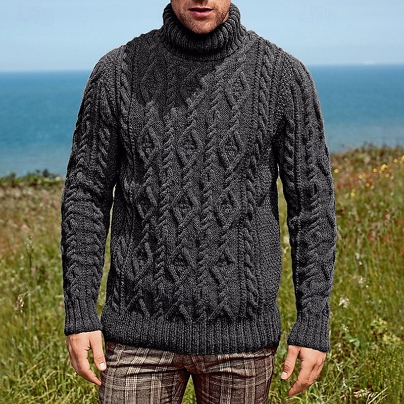Homens Pulôver suéter Suéter de malha Pulôver masculino gola alta Estriado Cabo Tricotar Padrão Tricotado Tecido Gola Alta Moda Básico Roupa Diária Encontro Roupa Outono & inverno Verde Tropa Azul de 2025 por $44.99 –P5